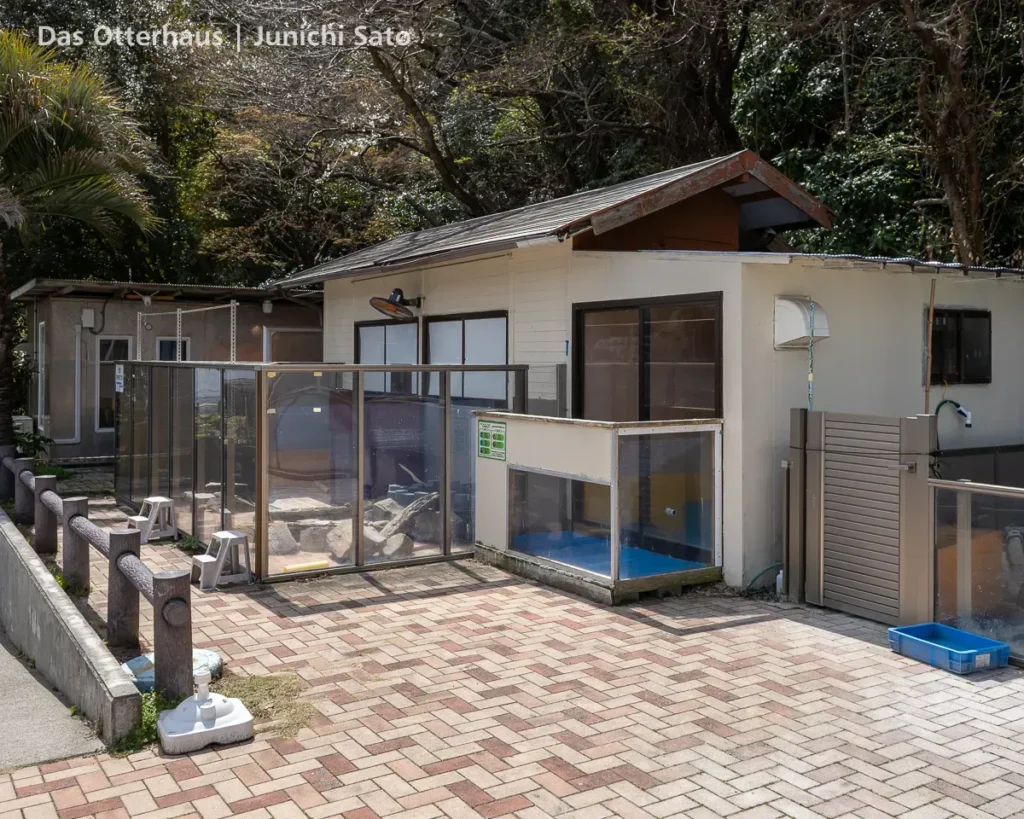 あわしまマリンパークのコツメカワウソ展示の全景