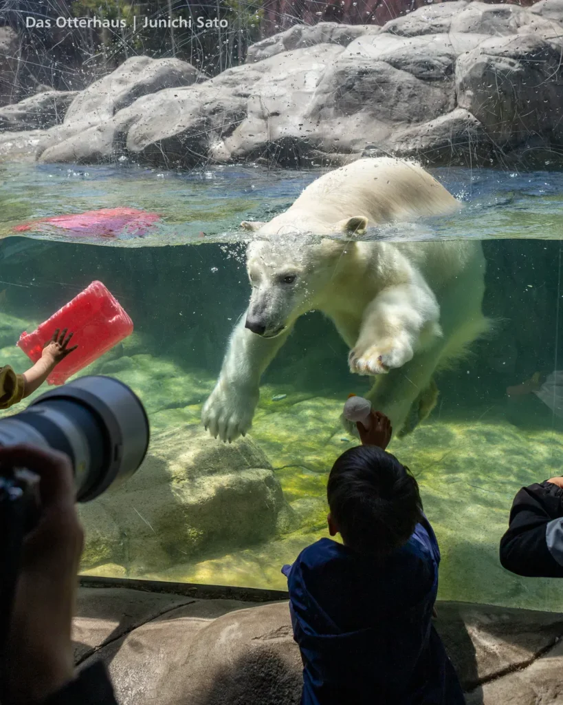 仙台市八木山動物公園 2604 photo 13