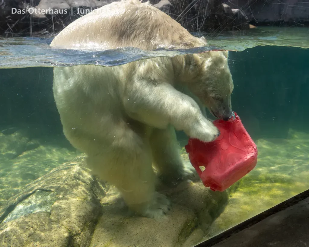 仙台市八木山動物公園 2604 photo 14