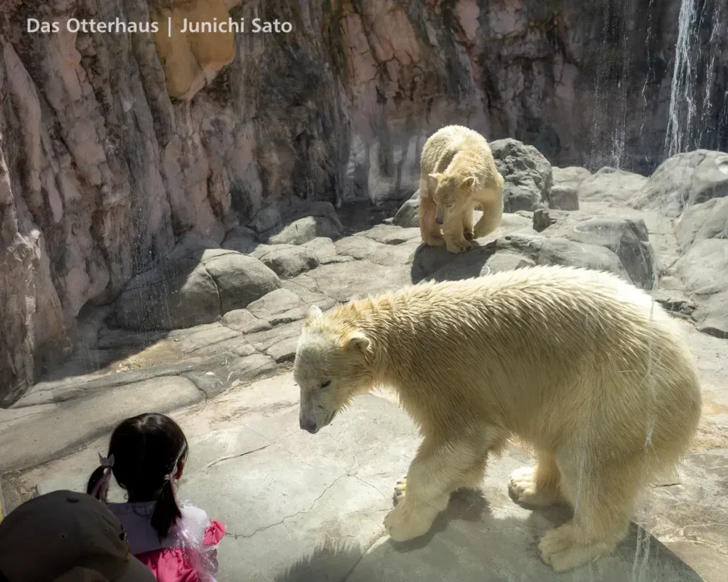 仙台市八木山動物公園 2604 photo 18