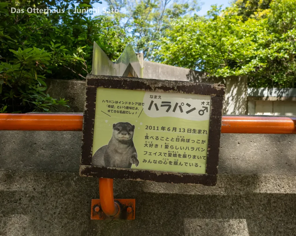 千葉市動物公園 2605 12 千葉市動物公園 2605 photo 9