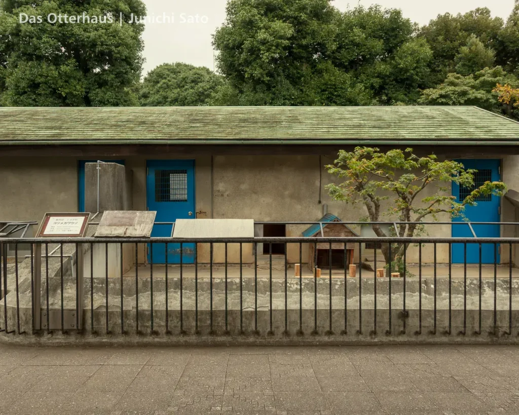 市川市動植物園のコツメカワウソ展示、2009年