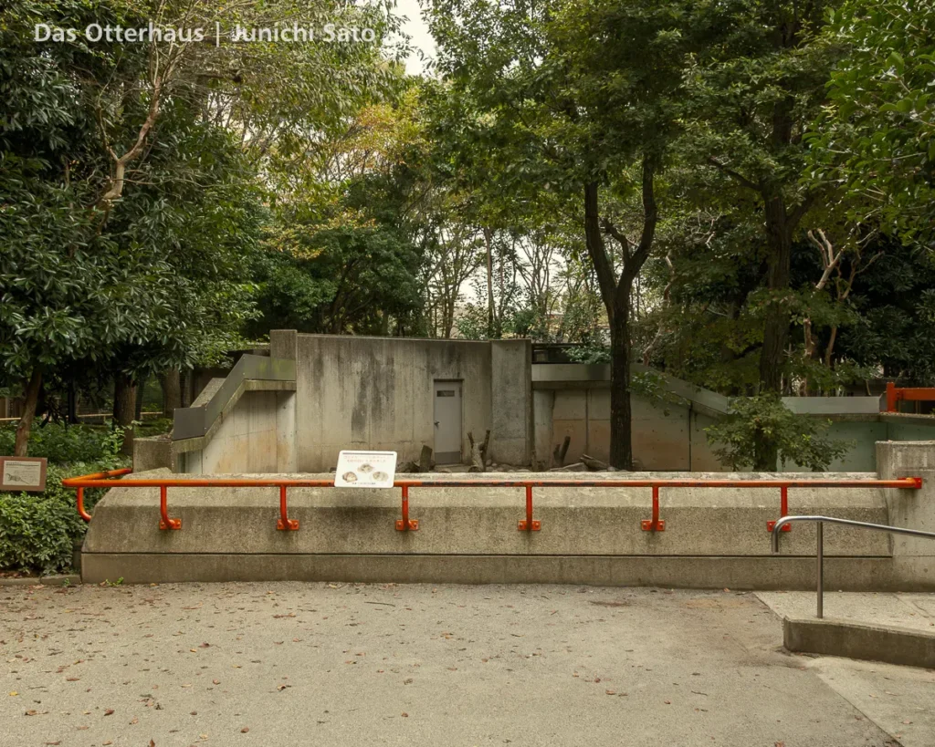 千葉市動物公園のコツメカワウソ展示、2009年