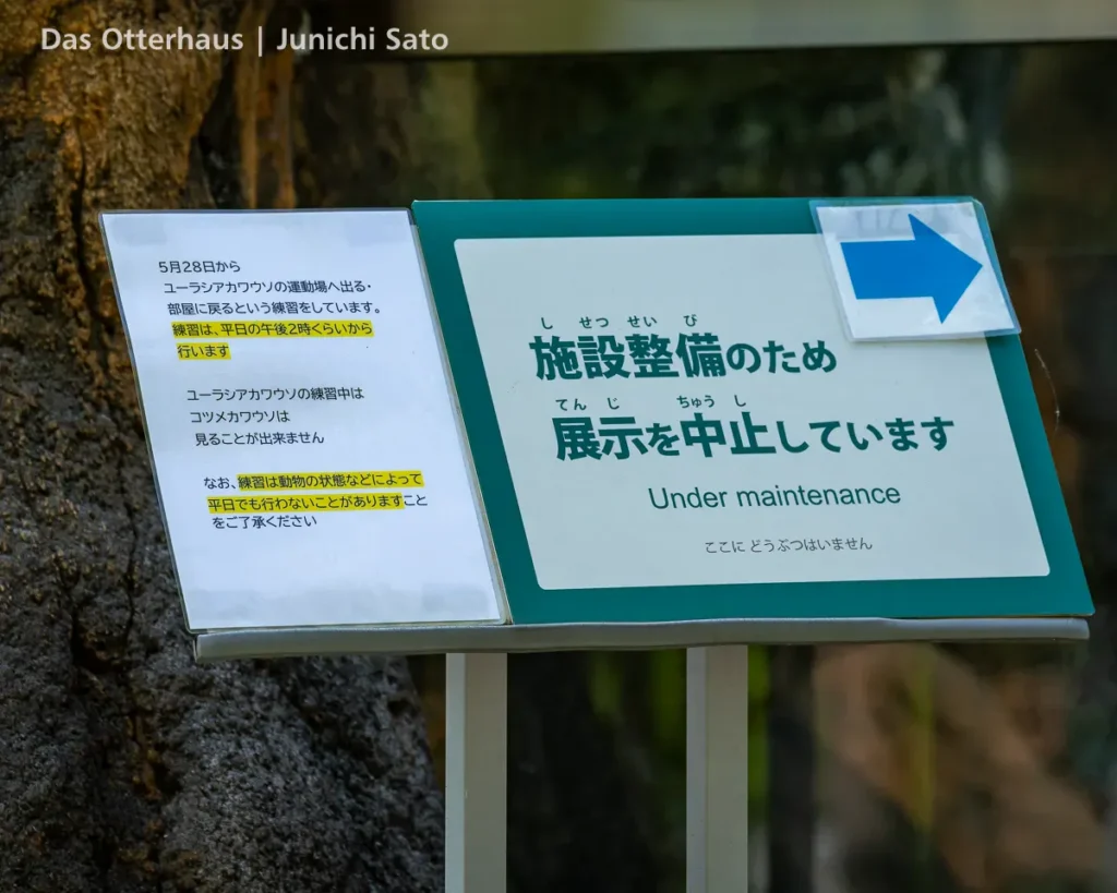 ユーラシア放飼訓練@多摩動物公園 2605 11 ユーラシア放飼訓練@多摩動物公園 2605 photo 9