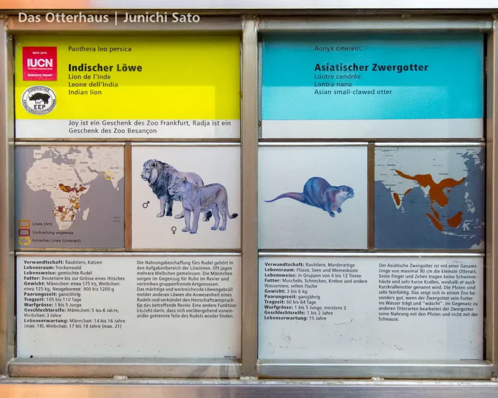 カワウソ異種混合展示の光と影 20 カワウソ異種混合展示の光と影 photo 19