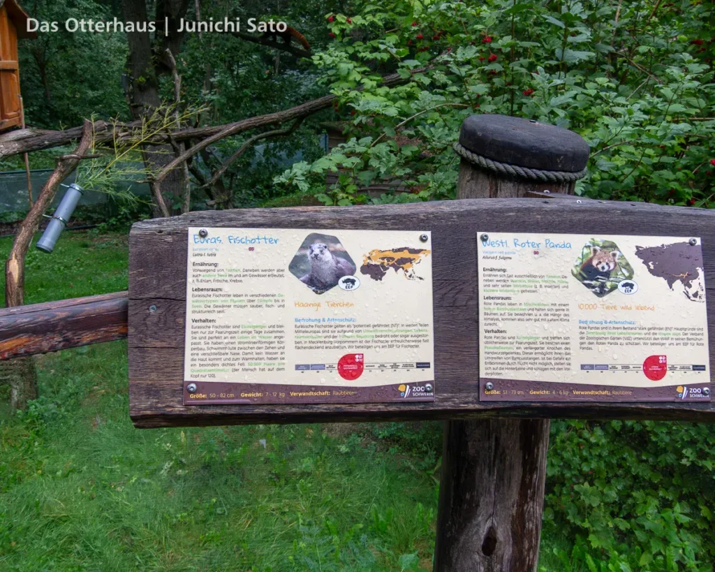 カワウソ異種混合展示の光と影 23 カワウソ異種混合展示の光と影 photo 22