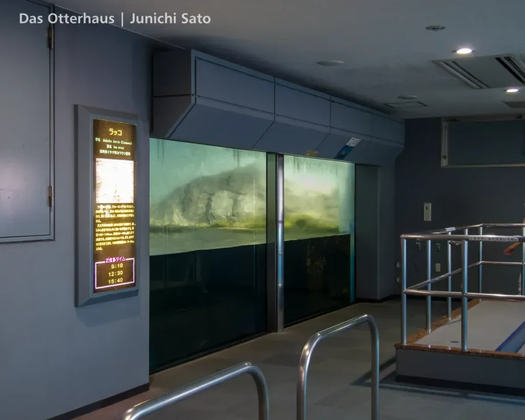 ヨツバとレベッカの頃・のとじま水族館 1707 photo 5