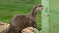 千葉市動物公園 2607 photo 16