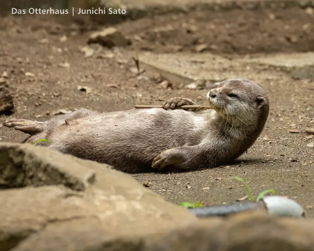千葉市動物公園 2607 photo 8