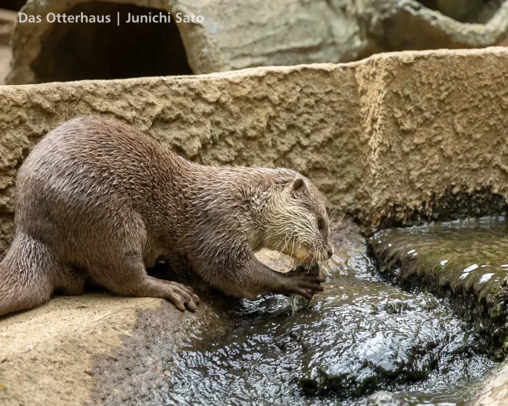 千葉市動物公園 2607 photo 18