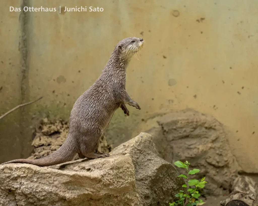 千葉市動物公園 2607 photo 19
