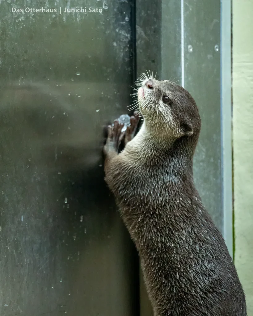 仙台うみの杜水族館 2607 photo 8