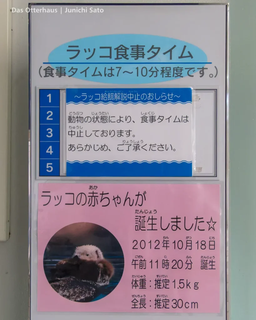 ラッコ発掘・海の中道 1211_1 photo 9