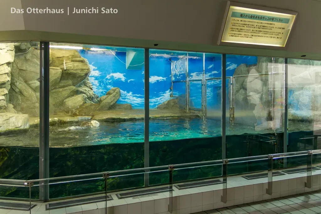 ラッコ発掘・海の中道 1211_2 photo 10