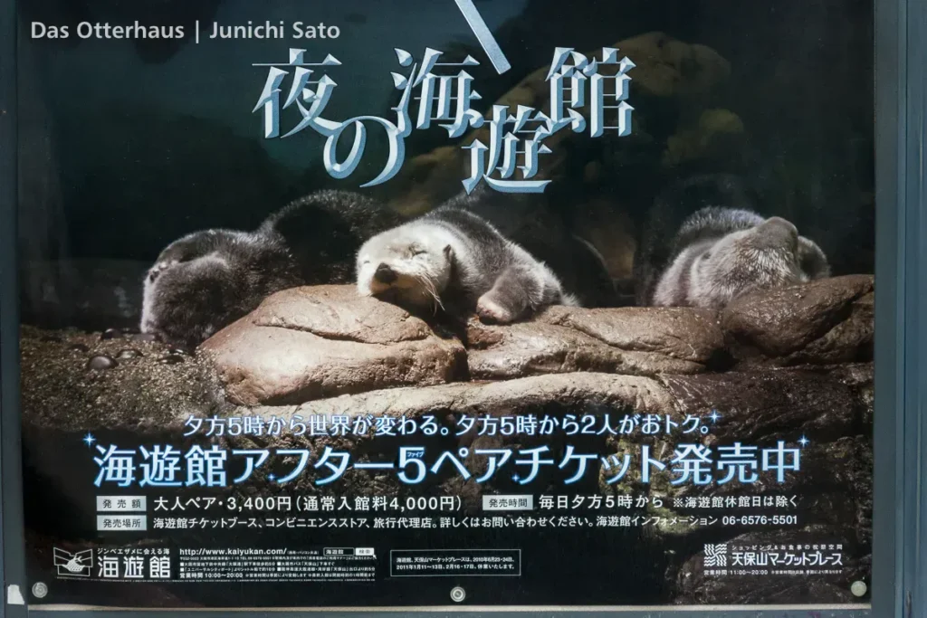 ラッコ発掘・海遊館 1005+1103 29 ラッコ発掘・海遊館 1005+1103 photo 18