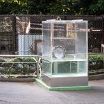上野カワウソ・震災避難・ユーラシア展示準備！ photo 7