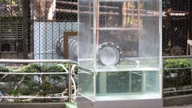 上野カワウソ・震災避難・ユーラシア展示準備！ photo 12